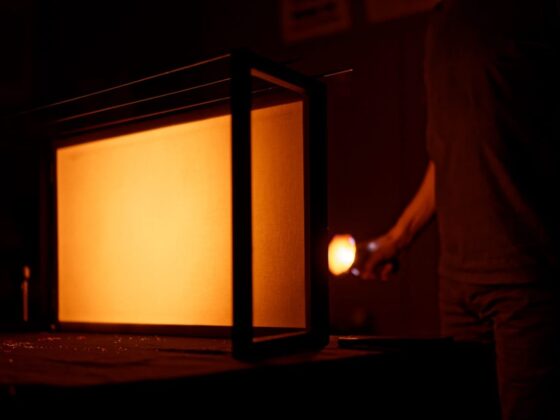 la-petite-ombre-de-tom-4